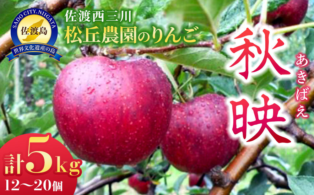 【10月上旬以降発送】佐渡&nbsp;西三川・松丘農園のりんご「秋映（あきばえ）」12個～20個　計5kg