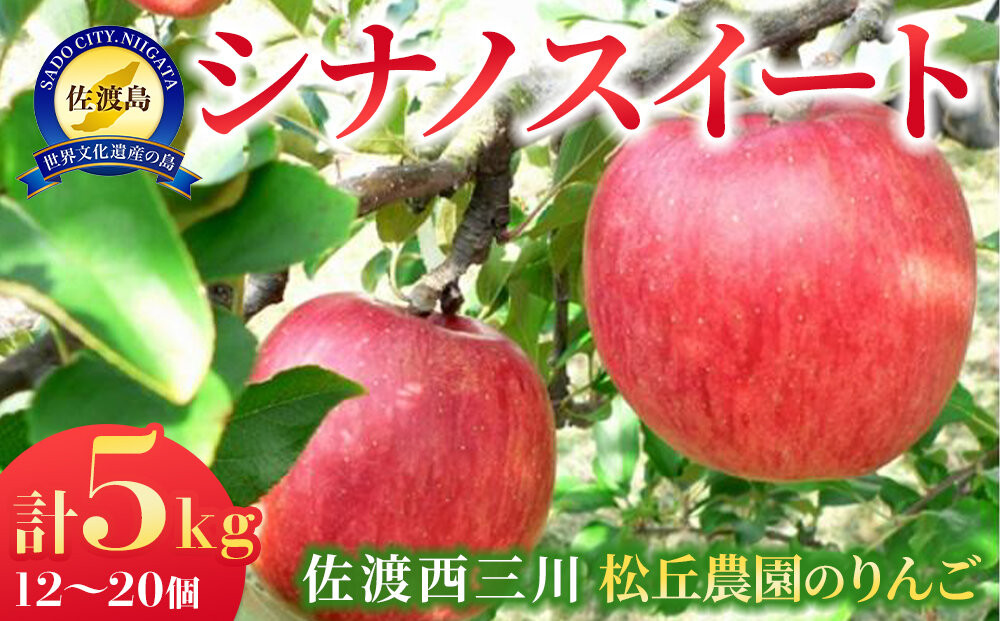 【10月上旬以降発送】佐渡&nbsp;西三川・松丘農園のりんご「シナノスイート」12個～20個　計5kg