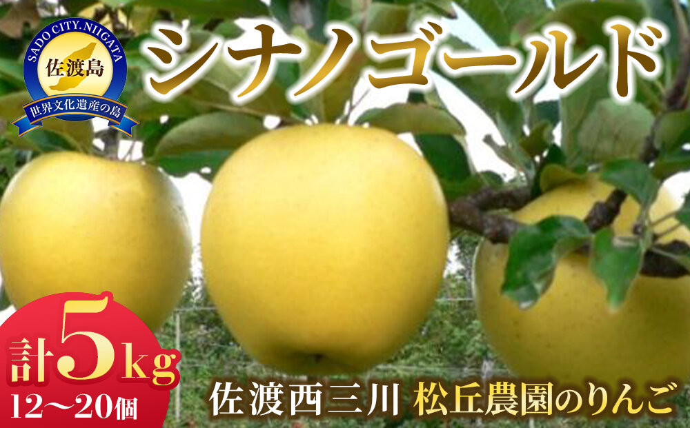 【10月下旬以降発送】佐渡&nbsp;西三川・松丘農園のりんご「シナノゴールド」12個～20個　計5kg