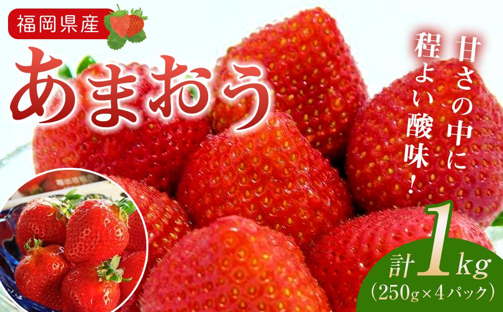 福岡県産あまおう(いちご)　1kg（250g×4パック）【いちご イチゴ 苺 あまおう フルーツ くだもの 果物 食品 人気 おすすめ 送料無料 AE001】