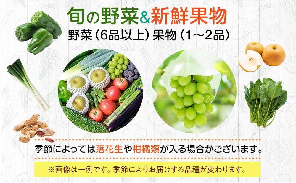 直売所みなみの里厳選 旬の野菜・果物セット 【旬 野菜 果物 セット やさい くだもの フルーツ 直売所 厳選 お得 パック 詰め合わせ 送料無料  福岡県 筑前町 AE004】