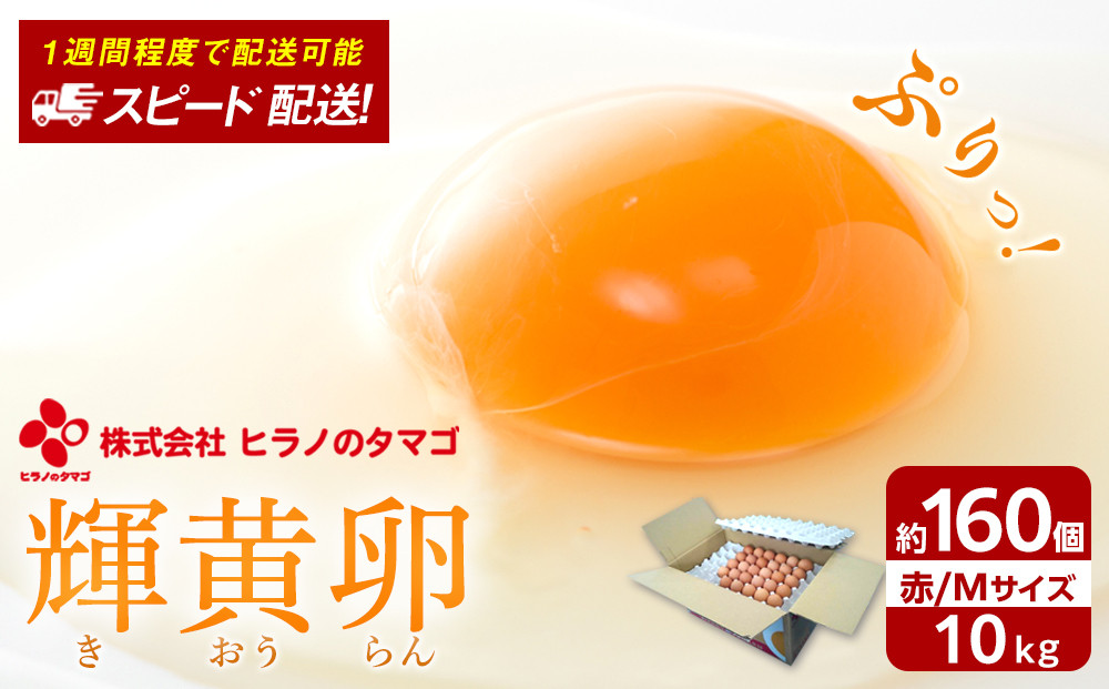 【年内発送】ヒラノのたまご 輝黄卵(きおうらん)赤Mサイズ10kg(160個前後)【卵 たまご タマゴ  国産 新鮮 直送 朝ごはん 卵かけごはん AJ001】
