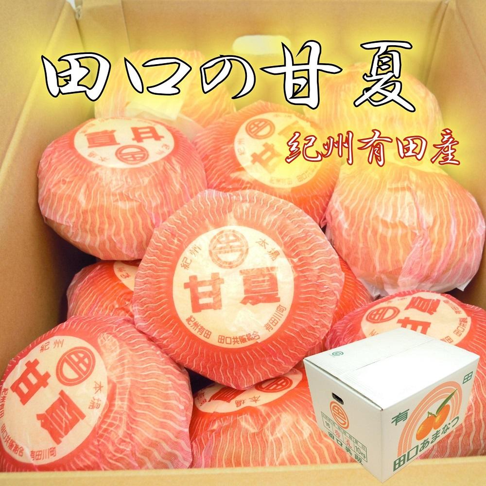 和歌山県産 田口の甘夏 秀品 10キロ 2Ｌ～3Ｌ（約23～21玉） サイズおまかせ