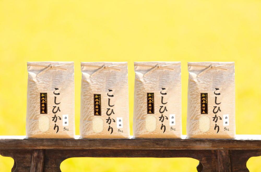 南魚沼産コシヒカリ（白米20kg×全12回）新潟県 特A地区の美味しいお米。-
