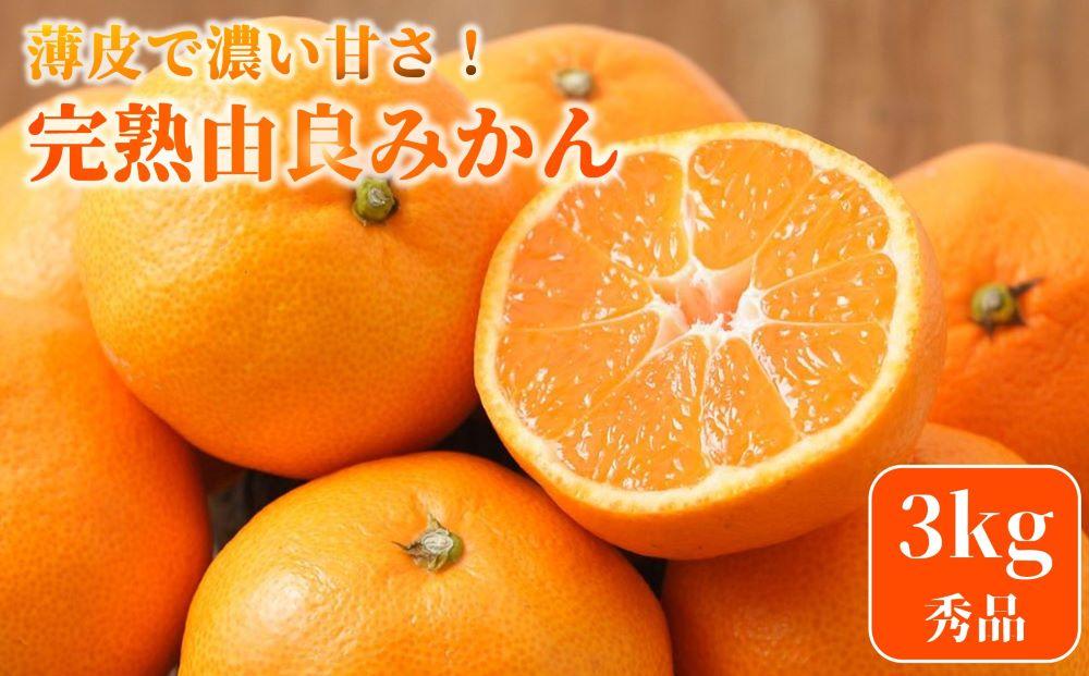 ★薄皮で濃い甘さ！完熟由良みかん【秀】3kg×1箱（混サイズ）和歌山県由良産