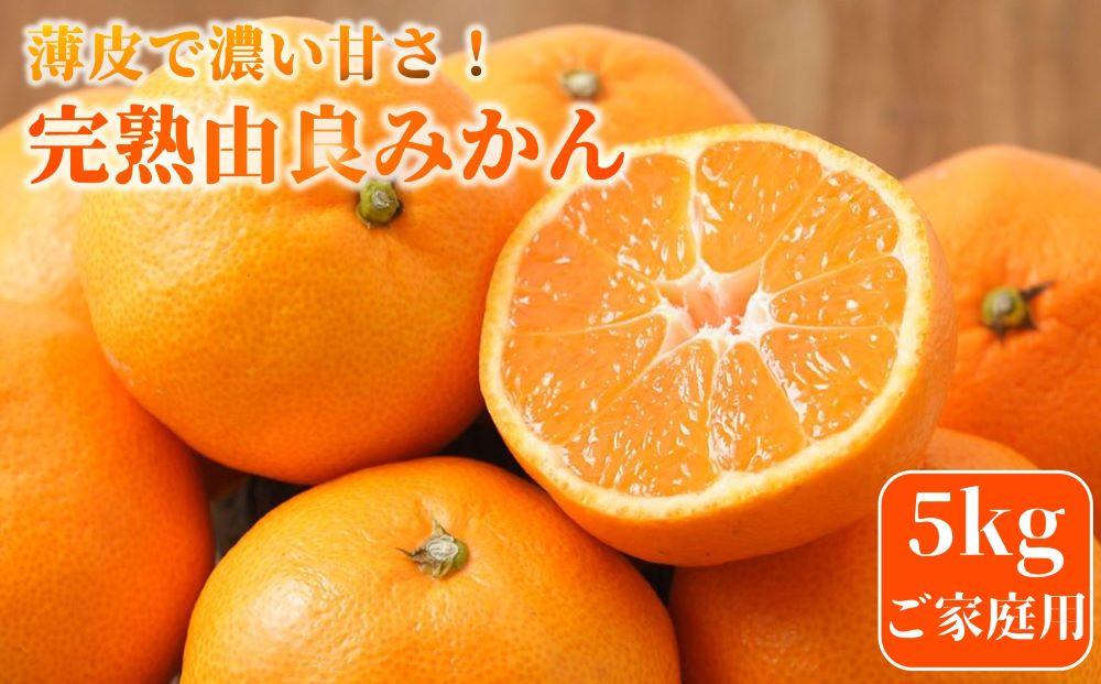 ★薄皮で濃い甘さ！完熟由良みかん【ご家庭用】5kg×1箱（混サイズ）和歌山県由良産