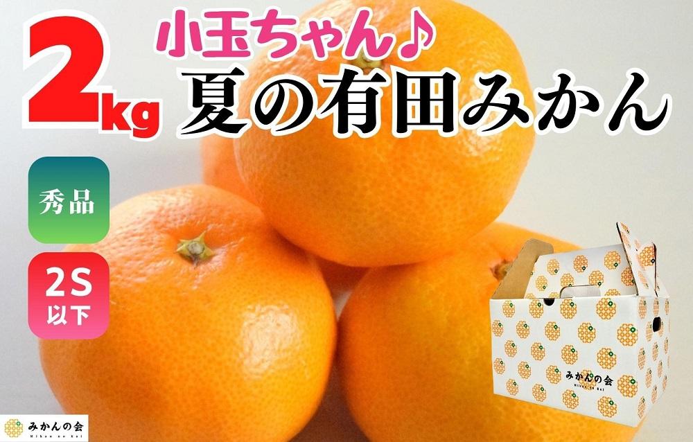 【5月下旬出荷予定】小玉ちゃん ハウスみかん 温室栽培 夏の有田みかん 2kg 秀品 2Sサイズ以下 和歌山県 産地直送 みかんの会