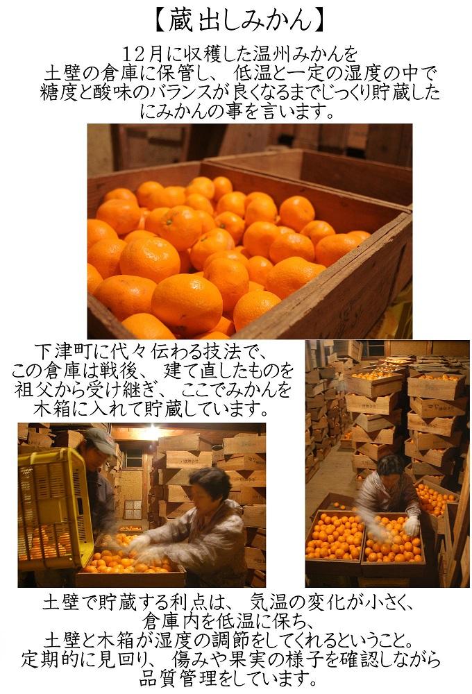 みかんページ 楽天市場】【ふるさと納税】適度な潮風をうけ、太陽光、石垣、海の反射