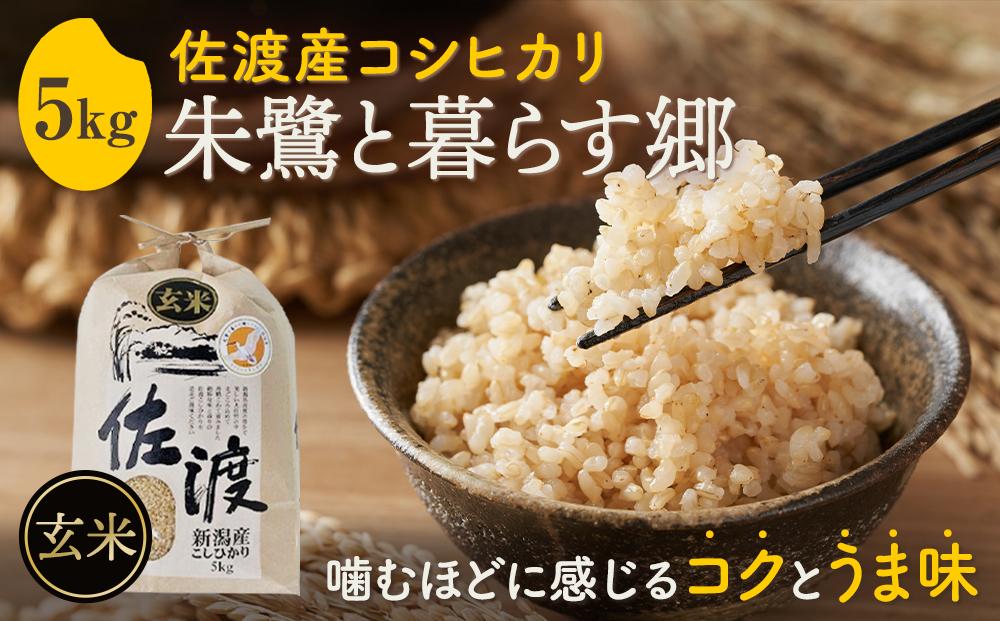 米 玄米 朱鷺と暮らす郷 佐渡産 コシヒカリ ( 5kg ) 【令和6年産】