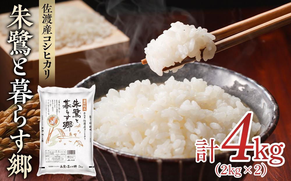 米 朱鷺と暮らす郷 佐渡産 コシヒカリ ( 2kg×2 ) 【令和6年産】