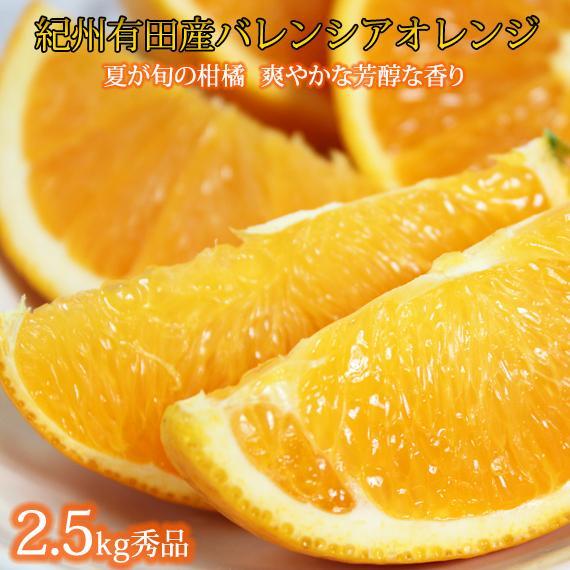 秀品 希少な国産バレンシアオレンジ 2.5kg【2024年6月下旬頃～2024年7月上旬頃に順次発送】【UT75】