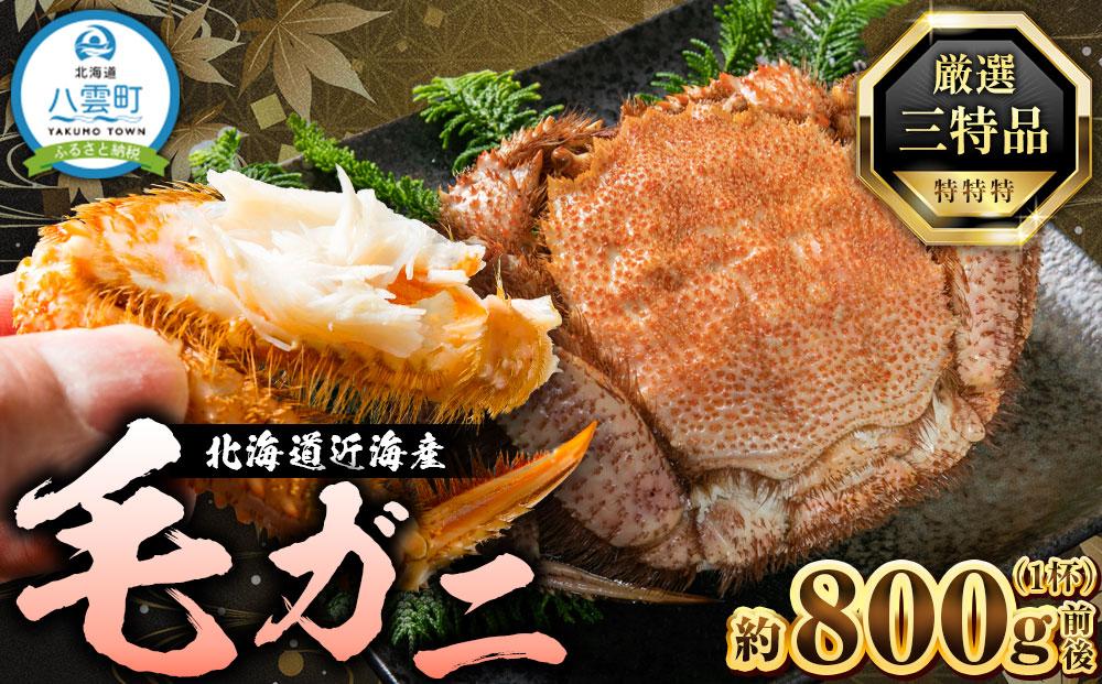 先行予約【厳選三特品】北海道産近海毛ガニ800g前後×1尾 2025年9月上旬発送開始予定【 毛がに 北海道 かに 蟹 かにみそ 小分け 毛蟹 海産物 食品 魚介 魚介類 海鮮 お取り寄せ お取り寄せグルメ 冷凍 魚介類 水産物応援 水産物支援 八雲町 北海道   】