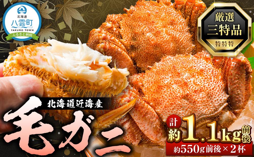 先行予約【厳選三特品】北海道産近海毛ガニ550g前後×2尾2025年9月上旬発送開始予定【 毛がに 北海道 かに 蟹 かにみそ 小分け 毛蟹 八雲 海産物 魚介類 水産物応援 水産物支援 】