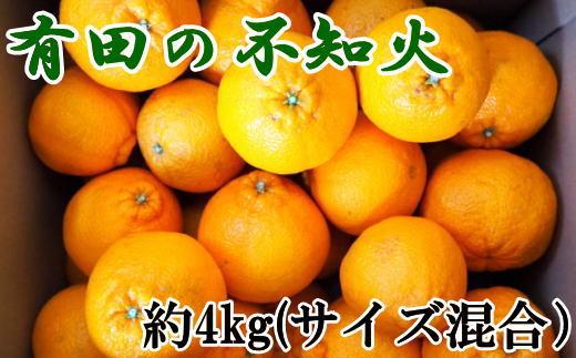 【濃厚】有田産不知火約4kg（M～3Lサイズ混合）★2025年2月上旬頃より順次発送