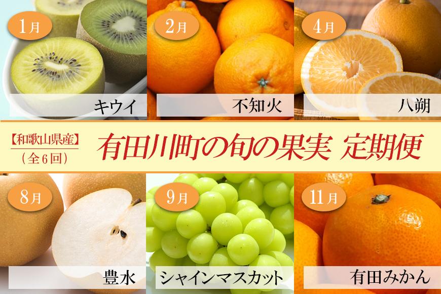 定期便全6回】　有田川町の旬のフルーツをお届け！　JTBのふるさと納税サイト　[ふるぽ]