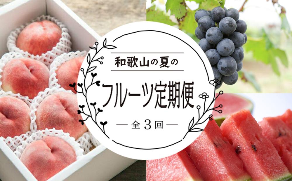 JTBのふるさと納税サイト　定期便全3回　和歌山の人気の夏のフルーツをお届け！　[ふるぽ]