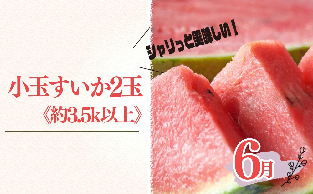 JTBのふるさと納税サイト　定期便全3回　和歌山の人気の夏のフルーツをお届け！　[ふるぽ]