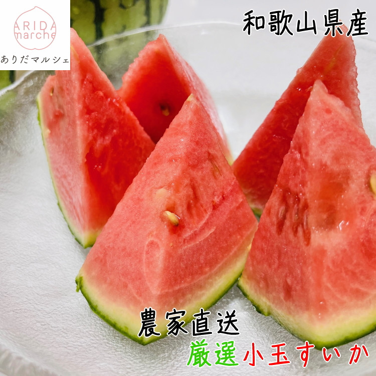 ［先行予約］厳選&nbsp;小玉すいか&nbsp;Ｍサイズ／１玉入り［農家直送］［先行予約］［和歌山県産］［MS126］
