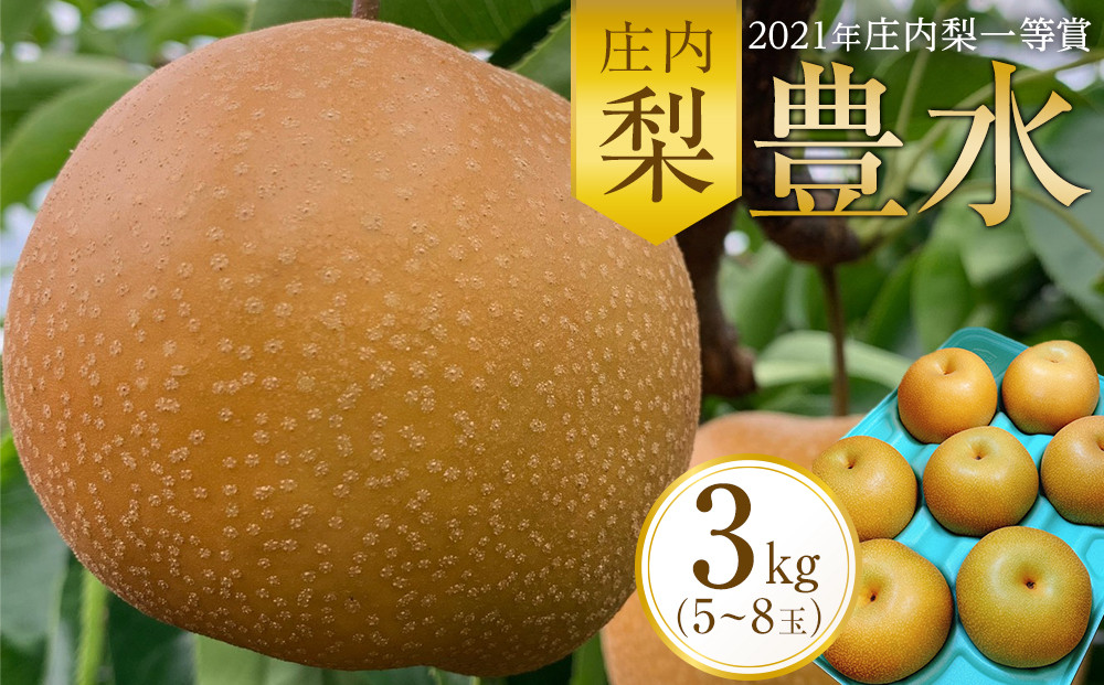 ＜2021年庄内梨一等賞＞庄内梨 豊水 3kg（5～8玉）【2025年9月上旬頃より発送】 | 果物 期間限定 なし 梨 フルーツ グルメ 人気 おすすめ 送料無料 お取り寄せ 取り寄せ 九州 大分県 由布市 湯布院 由布院 ゆふいん DS01