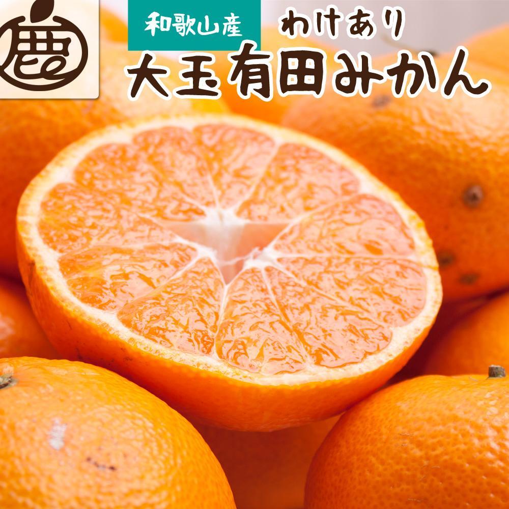 ＜11月より発送＞家庭用 大きな有田みかん5kg+150g（傷み補償分）訳あり