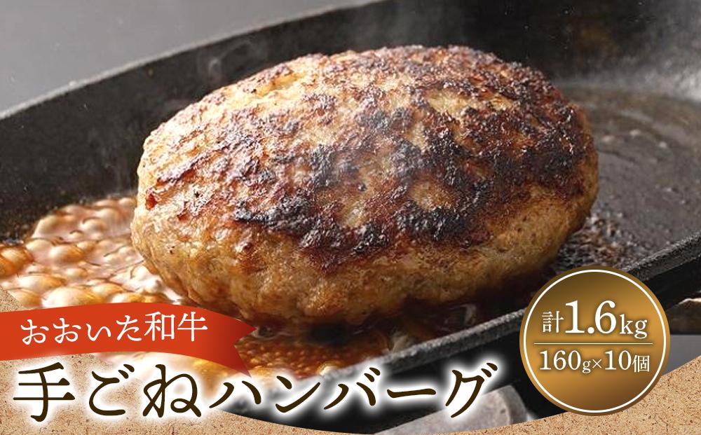 おおいた和牛＆大分県産豚 特製 手ごね ハンバーグ 160g×10個 計1.6kg