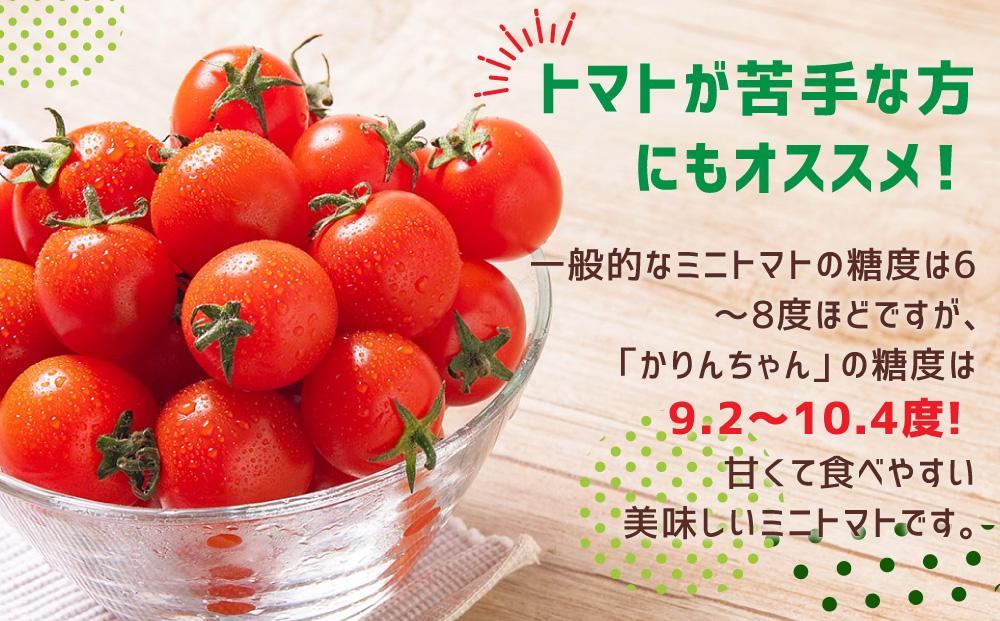 福岡県産　ミニトマト　アルル　3キロ