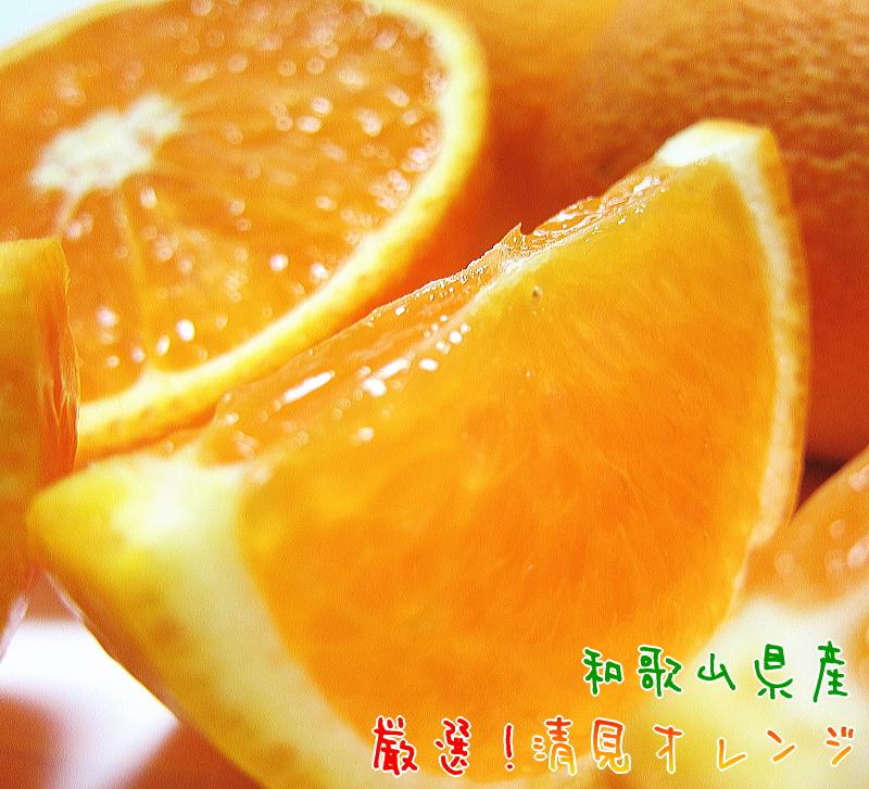 厳選！清見オレンジ 約2kg【農家直送】【先行予約】【和歌山県産】【2025年2月下旬～3月下旬発送】