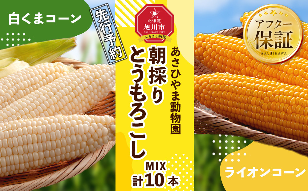 【26年発送先行予約】朝採りとうもろこしMIX10本&nbsp;4kg&nbsp;あさひやま動物園&nbsp;白くまコーンとライオンコーンのミックス（2026年8月中旬から発送開始予定）【&nbsp;とうもろこし&nbsp;人気&nbsp;北海道&nbsp;糖度&nbsp;野菜&nbsp;白いとうもろこし&nbsp;白いスイートコーン&nbsp;産地直送&nbsp;ホワイトレディ&nbsp;ゴールドラッシュ&nbsp;コーン&nbsp;玉蜀黍&nbsp;旬&nbsp;お取り寄せ&nbsp;旭川市&nbsp;北海道&nbsp;】_02157
