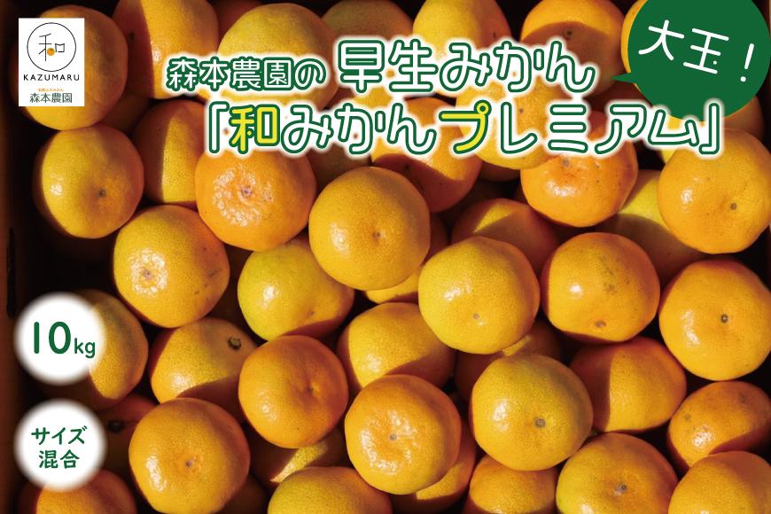 大玉早生みかん「和みかんプレミアム」 10kg  サイズ混合（2L・3L）【北海道・沖縄・一部離島 配送不可】森本農園 産地直送 ギフト ふるさと納税 和歌山県海南市 果物 オレンジ フルーツ 柑橘 みかん 早生 大玉