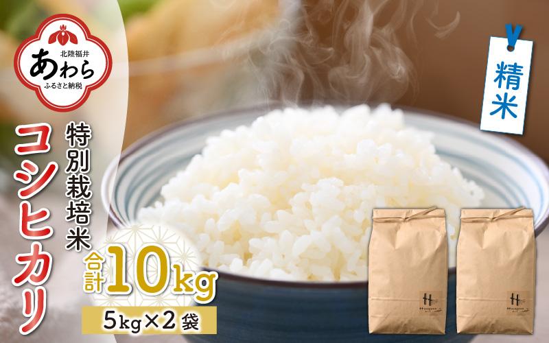 【令和5年産】特別栽培米 精米 コシヒカリ 10kg（5kg×2袋） ＜食味値85点以上！低農薬栽培＞ ／ 高品質 鮮度抜群 福井県あわら市産 ブランド米 白米《出荷直前精米でお届け！》