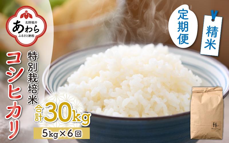 【令和5年産】《定期便6回》特別栽培米 精米 コシヒカリ 5kg（計30kg）＜食味値85点以上！低農薬栽培＞ ／ 高品質 鮮度抜群 福井県 あわら産 ブランド米 白米 お米 米《出荷直前精米でお届け！》