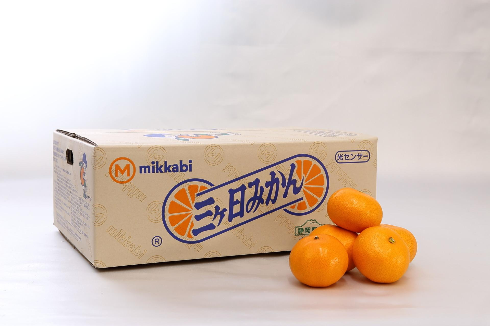 三ヶ日みかん（早生温州）4kg【2025年11月上旬から12月上旬順次発送