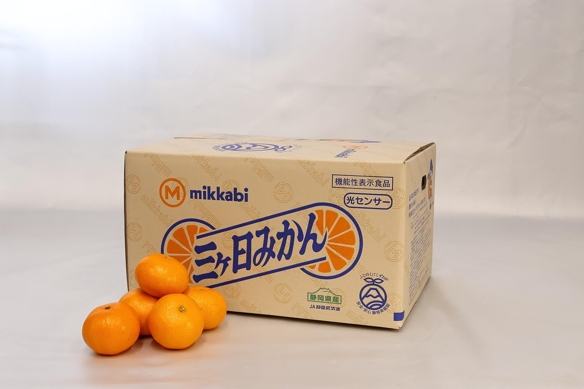 三ヶ日みかん（早生温州）8kg【2025年11月上旬から12月上旬順次発送】