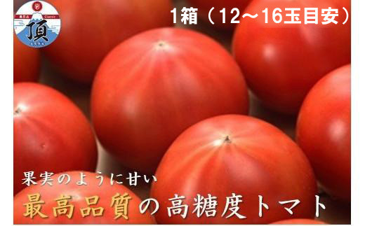高糖度トマト「アメーラ」１箱