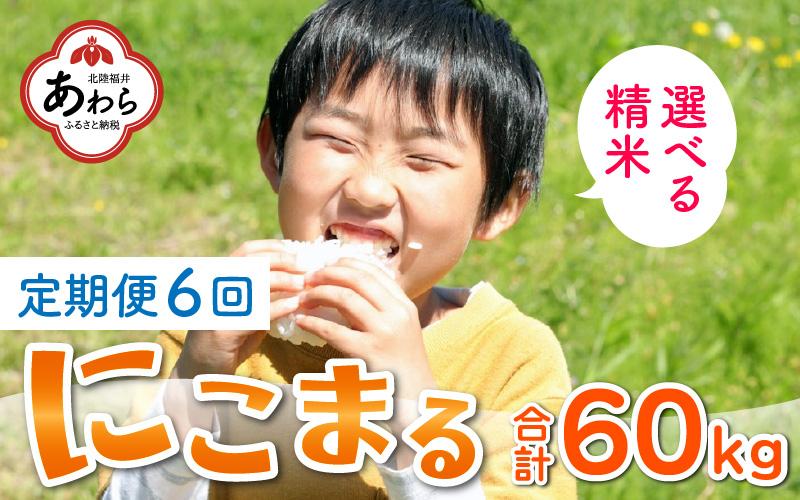 【玄米】【令和5年産】《定期便6回》にこまる 5kg×2袋 10kg（計60kg）