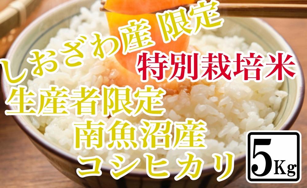 【令和7年産】【精米5kg】特別栽培&nbsp;しおざわ産限定&nbsp;生産者限定&nbsp;南魚沼産コシヒカリ