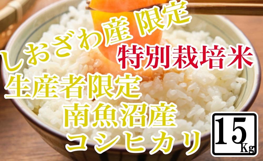 【令和7年産】【精米15kg】特別栽培&nbsp;しおざわ産限定&nbsp;生産者限定&nbsp;南魚沼産コシヒカリ
