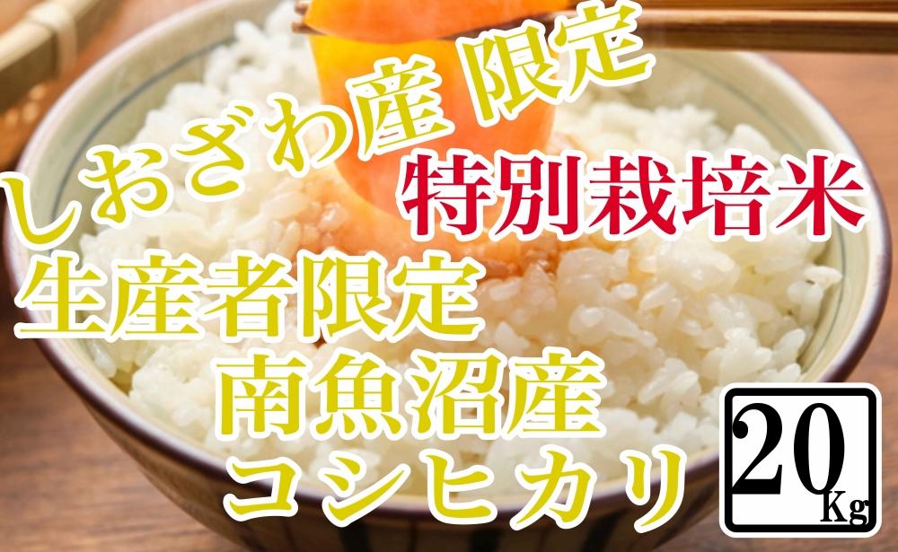 【令和7年産】【精米20kg】特別栽培&nbsp;しおざわ産限定&nbsp;生産者限定&nbsp;南魚沼産コシヒカリ