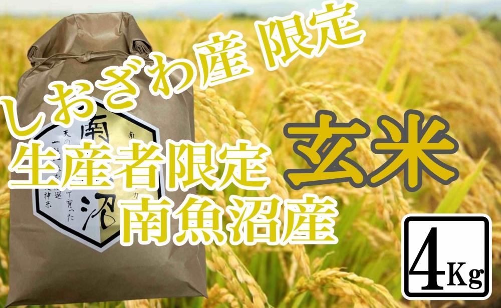 【4kg】玄米 しおざわ産限定 生産者限定 南魚沼産コシヒカリ