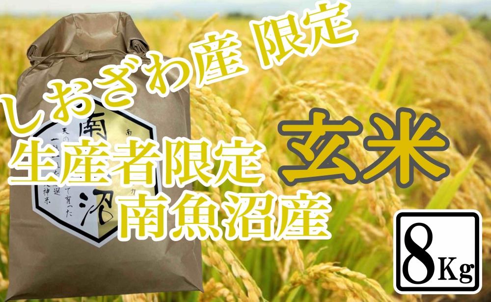 【8kg】玄米 しおざわ産限定 生産者限定 南魚沼産コシヒカリ