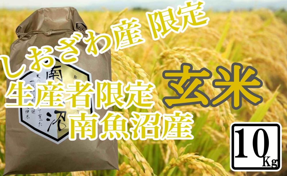 【10kg】玄米 しおざわ産限定 生産者限定 南魚沼産コシヒカリ