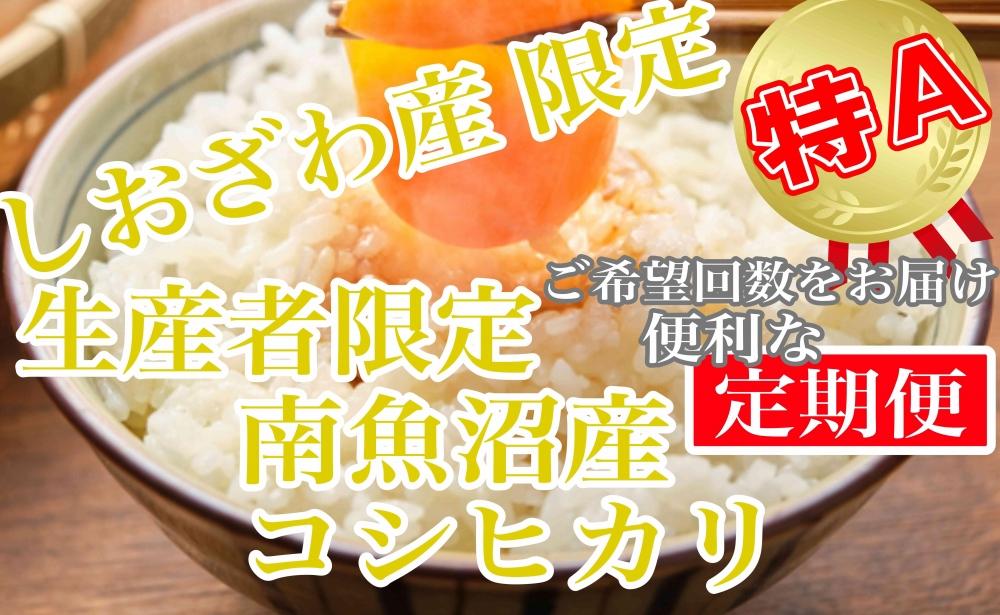 [ふるぽ]　南魚沼産コシヒカリ　JTBのふるさと納税サイト　定期便20kg×6ヶ月】しおざわ産限定　生産者限定