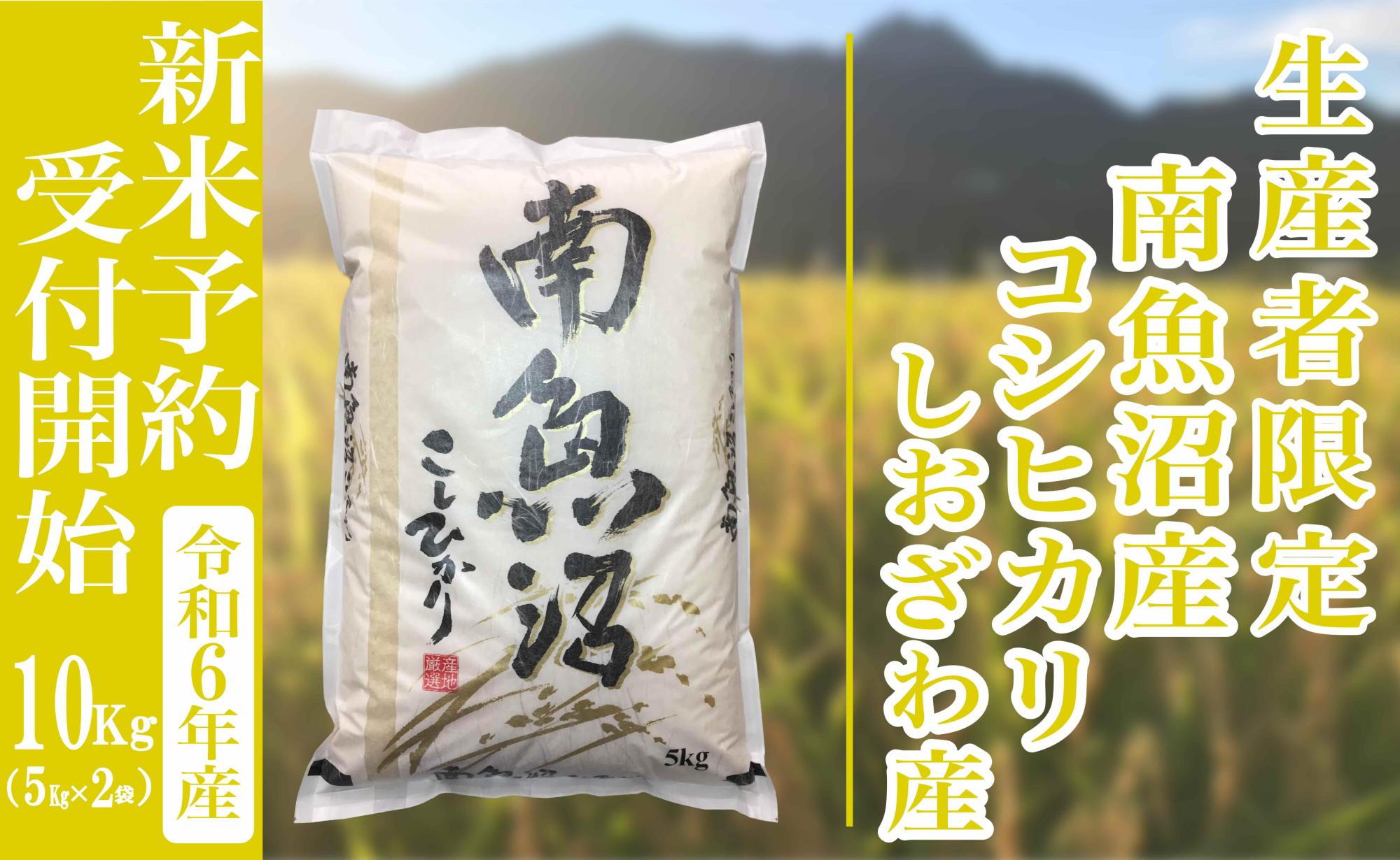 【新米予約・令和6年産】精米10Kg 生産者限定 南魚沼しおざわ産コシヒカリ