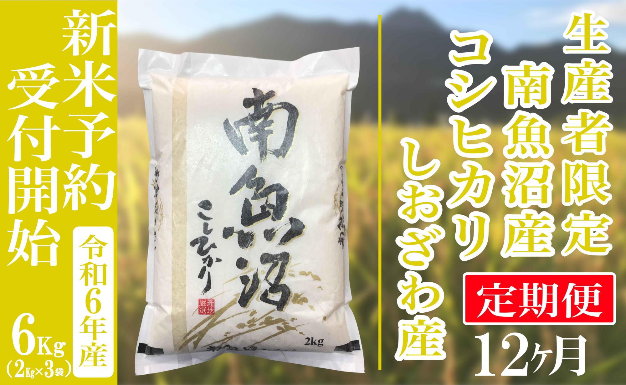 【新米予約・令和6年産】定期便12ヶ月：精米6kg生産者限定 南魚沼しおざわ産コシヒカリ