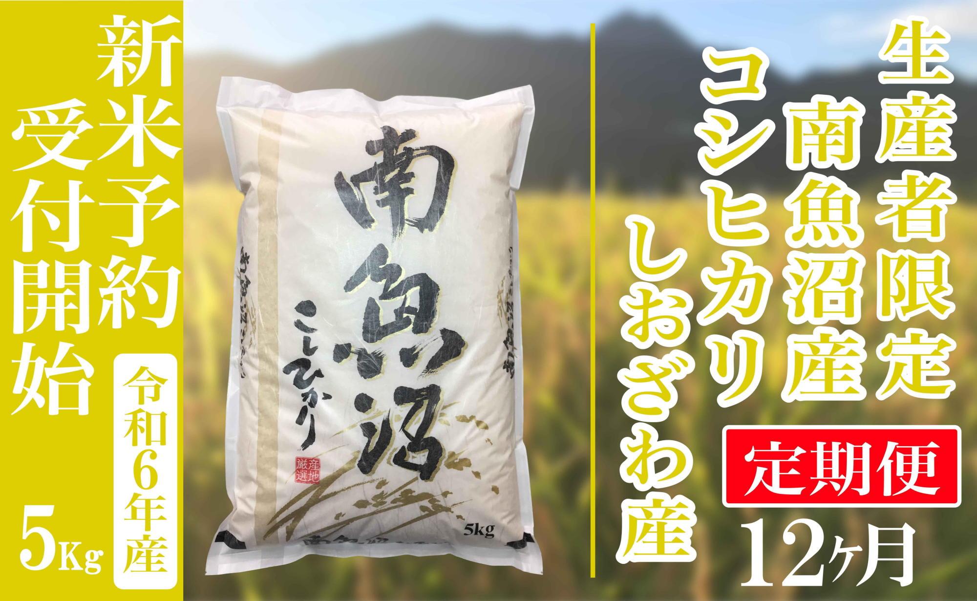 【新米予約・令和6年産】定期便12ヶ月：精米5kg生産者限定 南魚沼しおざわ産コシヒカリ