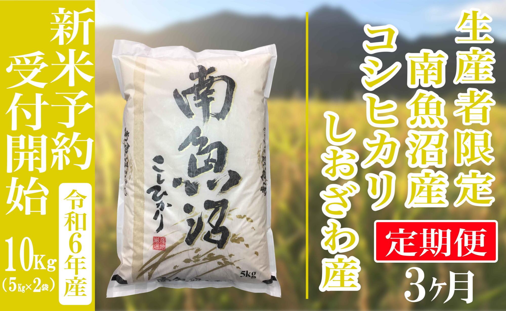 【新米予約・令和6年産】定期便３ヶ月：精米10kg生産者限定 南魚沼しおざわ産コシヒカリ