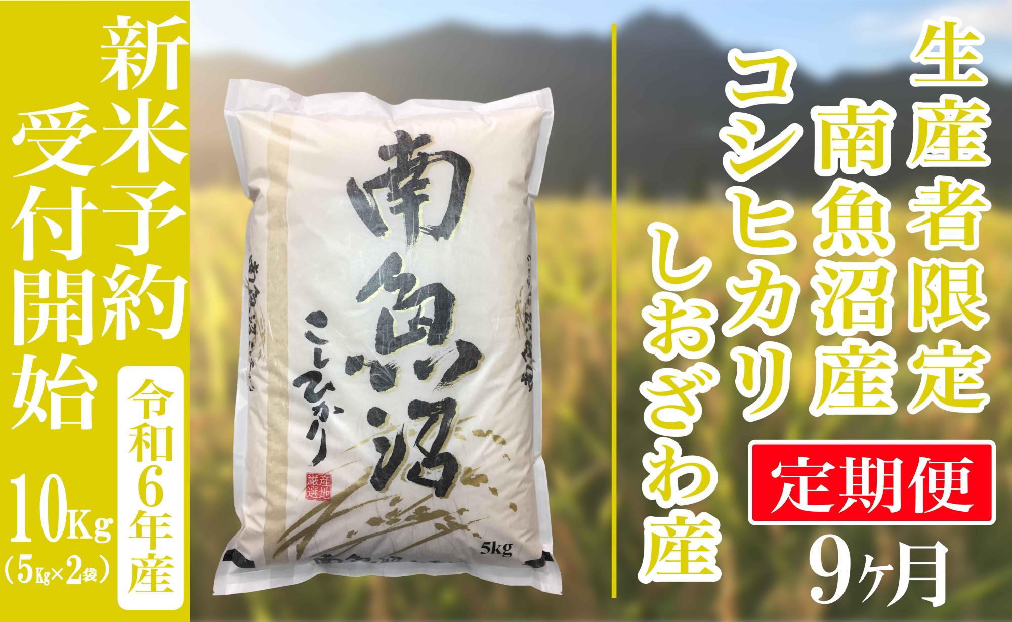 【新米予約・令和6年産】定期便９ヶ月：精米10kg生産者限定 南魚沼しおざわ産コシヒカリ