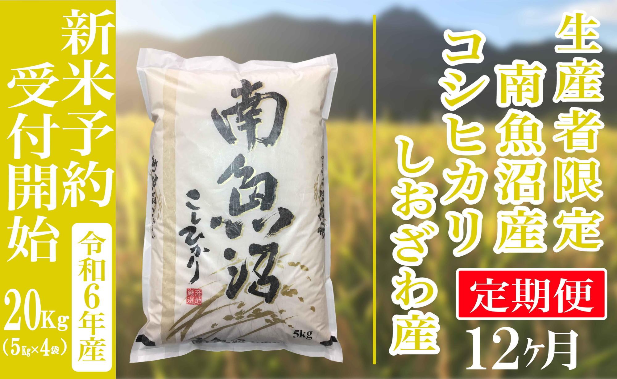 【新米予約・令和6年産】定期便12ヶ月：精米20kg生産者限定 南魚沼しおざわ産コシヒカリ