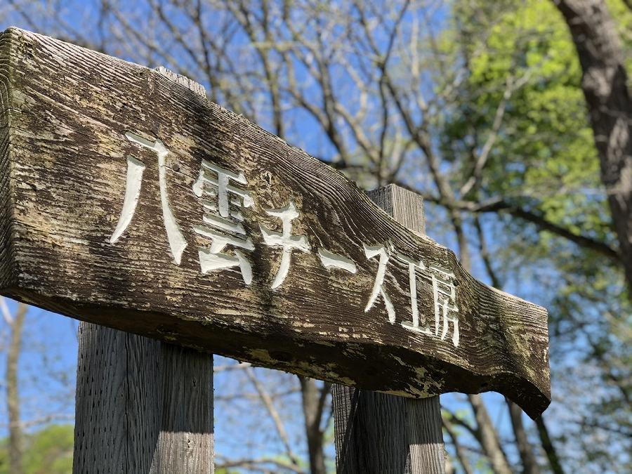 北海道八雲百花はちみつ390g(130g×3本)【 ハチミツ はちみつ
