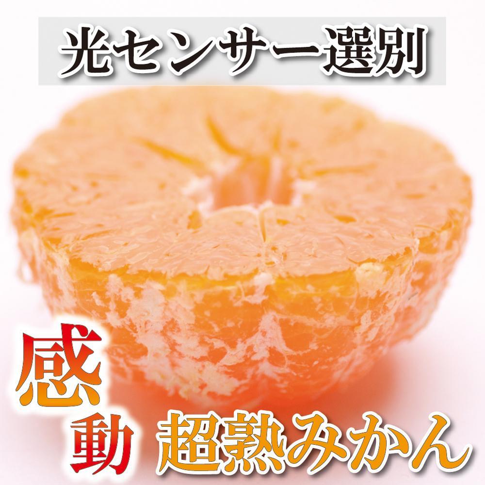 家庭用 超熟有田みかん2.5kg+75g（傷み補償分）訳あり＜2024年11月より発送＞